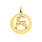 Gouden sterrenbeeld hanger; Steenbok (kettinghanger), Ophalen of Verzenden, Gebruikt, Goud, Overige merken