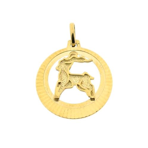 Gouden sterrenbeeld hanger; Steenbok (kettinghanger), Sieraden, Tassen en Uiterlijk, Bedels, Gebruikt, Overige merken, Goud, Ophalen of Verzenden