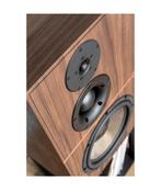 Revival Audio ATALANTE 5, Overige merken, Nieuw, Ophalen of Verzenden, 120 watt of meer