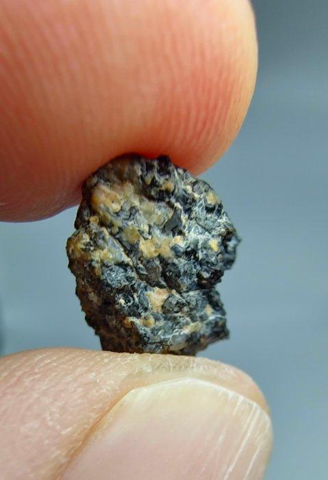 Ksar Ghilane 022, ongegroepeerde achondriet. De oorsprong, Verzamelen, Mineralen en Fossielen