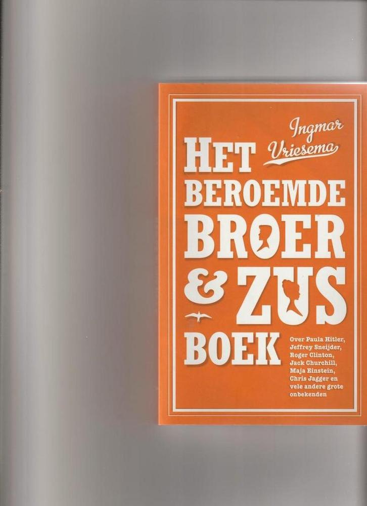 Het beroemde broer & zus boek 9789400401143 Ingmar Vriesema, Boeken, Romans, Gelezen, Verzenden