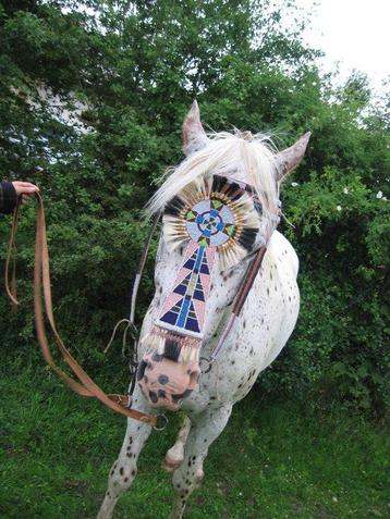 Geparelde paardenhoofdstel - Lakota Sioux - V.S. beschikbaar voor biedingen