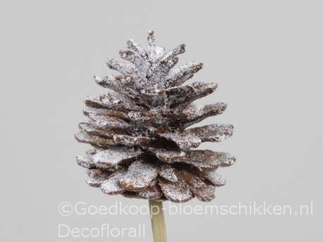 Denneappels op draad grootverp doos +/- 600st naturel snow, Hobby en Vrije tijd, Knutselen, Nieuw, Ophalen of Verzenden