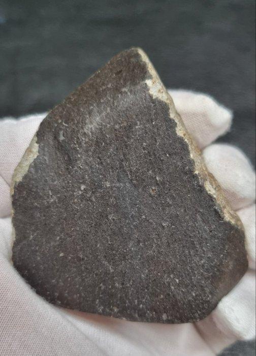 Mogelijk waargenomen valfragment - Hammadah al Hamra 346, Verzamelen, Mineralen en Fossielen