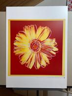 Andy Warhol (after) - Daisy - Jaren 1990
