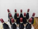 2021 Lavarini Gian Battista - Amarone della Valpolicella, Nieuw