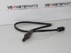 KTM 1290 Superduke GT Lambda sensor, Ophalen of Verzenden, Nieuw