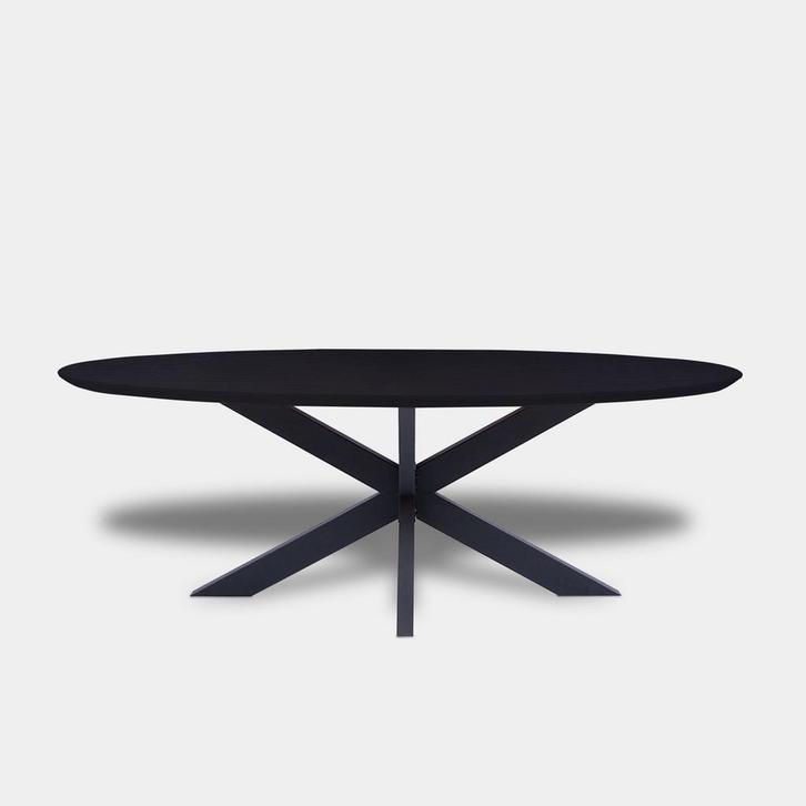 Tafel Ovaal Eikenhout  Matrix  200x100, Huis en Inrichting, Tafels | Eettafels