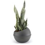 Bama Sfera Bloempot 23L 40.5x32 cm Antraciet (Overige), Huis en Inrichting, Verzenden, Nieuw