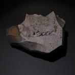 Neolithisch Big Flint. 13 cm lang mes - 5000 v.Chr. Bijl