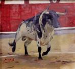 Said Saadi (XX) - Toro berrendo