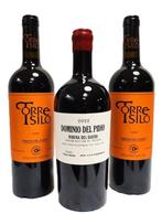 2022 Dominio del Pidio x1 & 2022 Torre Silo x2 - Ribera del, Nieuw