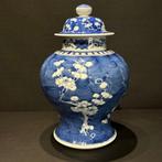 Balustervaas - Porselein - China - Qing Dynastie (1644-1911)