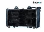 Radiateur Triumph Daytona 1200 1992-1999, Motoren, Verzenden, Gebruikt