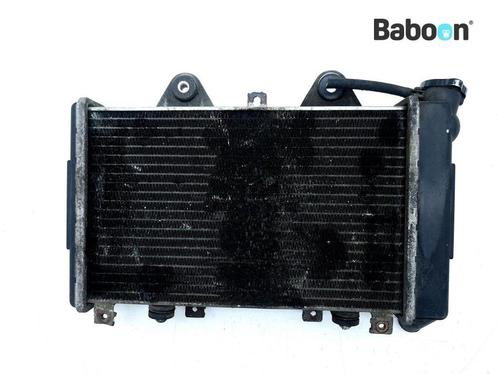 Radiateur Triumph Daytona 1200 1992-1999, Motoren, Onderdelen | Overige, Gebruikt, Verzenden