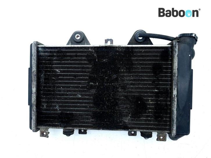Radiateur Triumph Daytona 1200 1992-1999, Motoren, Onderdelen | Overige, Gebruikt, Verzenden