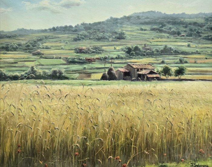 Ismael Subirana (1937) - Tierra de cosecha, Antiek en Kunst, Kunst | Schilderijen | Klassiek