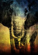 Wysocky John - Sunset Elephant, Antiek en Kunst
