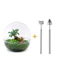 DIY Planten terrarium tweedelig bolglas - Dome XL Bonsai - Ø, Verzenden