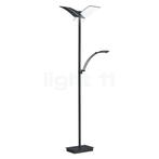 Hell Dual Vloerlamp LED, zwart - met leeslamp (Binnenlampen), Huis en Inrichting, Lampen | Vloerlampen, Verzenden, Nieuw