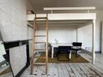 Kamer Herbenusstraat in Maastricht, Overige soorten, Limburg