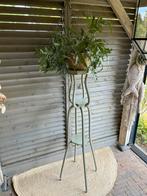 Plantentafel Lichen, Verzenden, Zo goed als nieuw, Sfeervol , brocante, 60 cm of meer
