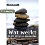 Wat werkt in de gesloten jeugdzorg 9789088501081, Boeken, Studieboeken en Cursussen, Verzenden, Gelezen