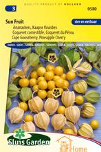 Sun Fruit Ananaskers Kaapse Kruisbes Zaden: Kweek, Verzenden