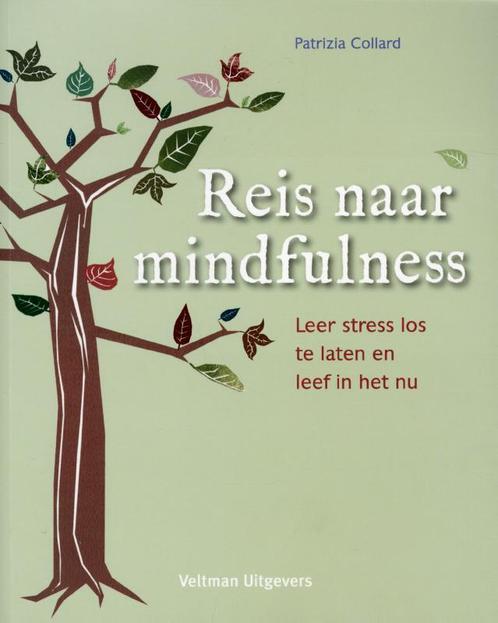 Reis naar mindfulness 9789048307883 Patrizia Collard, Boeken, Esoterie en Spiritualiteit, Gelezen, Verzenden