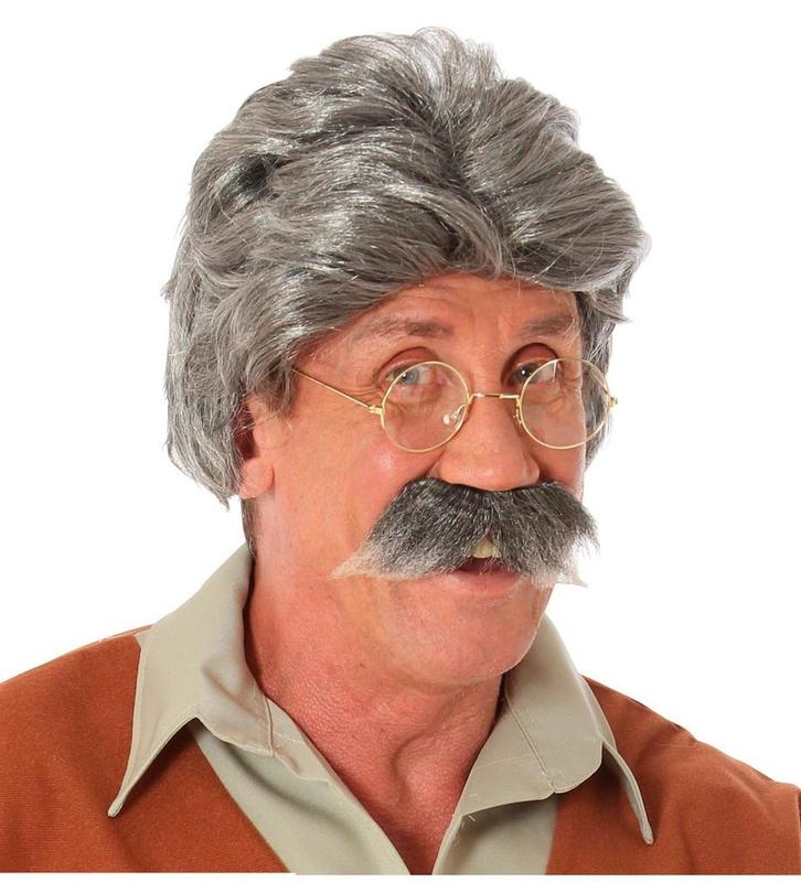 Grijze Pruik, Hobby en Vrije tijd, Feestartikelen, Nieuw, Verzenden