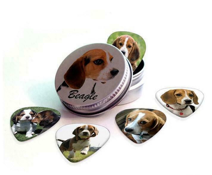 Blikje + plectrums met afbeelding van een Beagle hond, Verzamelen, Overige Verzamelen, Nieuw, Ophalen of Verzenden