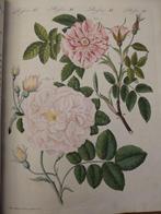 Bertuch - Porte-Feuille des enfans. Fruits, fleurs et