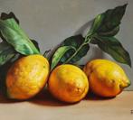 Francesco Parlato (XX-XXI) - Limoni di Sorrento