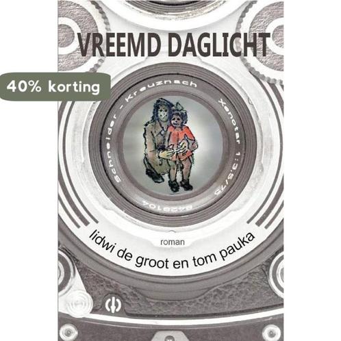 Vreemd daglicht 9789462661004 Lidwi de Groot, Boeken, Romans, Zo goed als nieuw, Verzenden