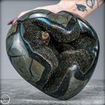 Natuurlijk Drachen-Herz Septarie - Kunst van de natuur uit