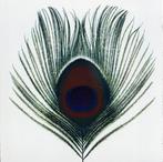 cd - XTC - Apple Venus Volume 1, Verzenden, Zo goed als nieuw
