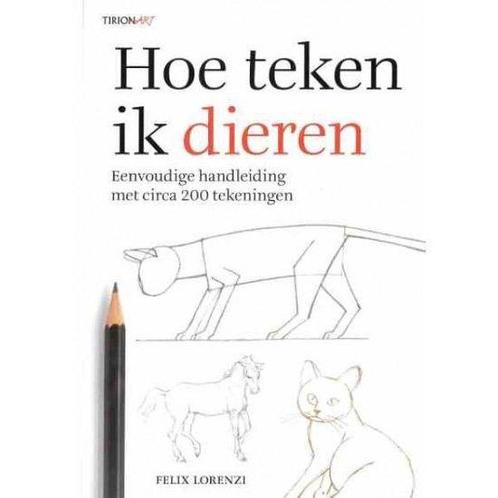 Hoe teken ik dieren 9789021313658 Felix Lorenzi, Boeken, Hobby en Vrije tijd, Gelezen, Verzenden