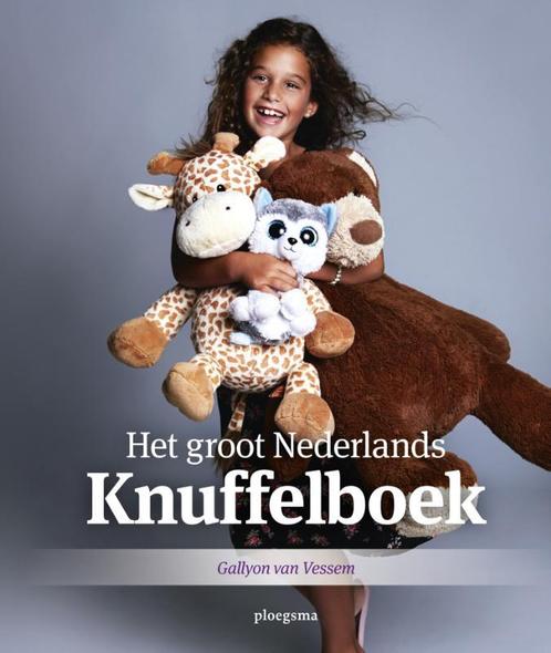 Groot Nederlands knuffelboek 9789021676289 Gallyon Vessem, Boeken, Kinderboeken | Jeugd | 13 jaar en ouder, Gelezen, Verzenden
