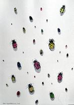 Pablo Fernandez Pujol (Winner of the Paul Ricard Artprice) -