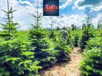 Kerstbomen - Nordmann e.a. - prijslijst 2024, Tuin en Terras
