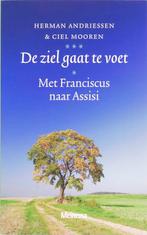 De Ziel Gaat Te Voet 9789021141787 H. Andriessen, Boeken, Verzenden, Zo goed als nieuw, H. Andriessen