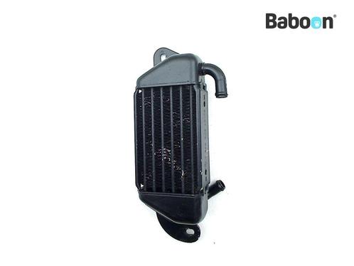 Oliekoeler BMW R 1200 CL 2002-2005 (R1200CL) Right (208, Motoren, Onderdelen | BMW, Gebruikt, Verzenden