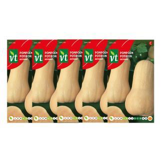 Pompoenzaad | VT | 5 stuks (Flespompoen), Tuin en Terras, Bloembollen en Zaden, Verzenden