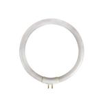 Reservelamp voor loeplamp | Toolland, Doe-het-zelf en Verbouw, Gereedschap | Handgereedschap, Verzenden, Nieuw