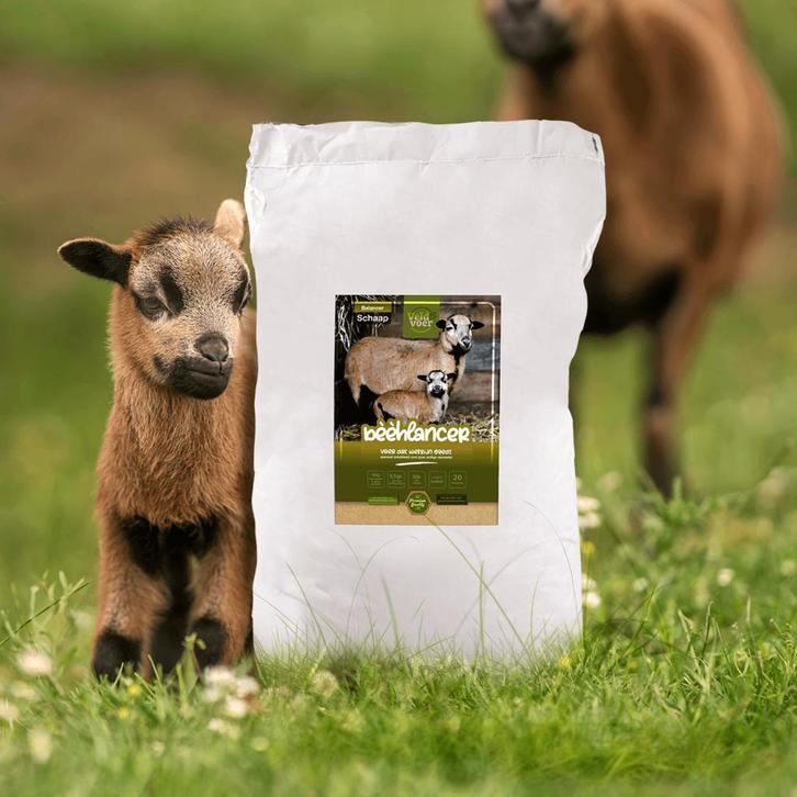 Bèèhlancer -Premium balancer voor hobbyschapen - Schapenvoer, Dieren en Toebehoren, Dierenvoeding, Vee, Ophalen of Verzenden
