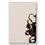 Gehard 10 mm Brons, Doe-het-zelf en Verbouw, Glas en Ramen, Ophalen of Verzenden, Nieuw