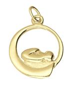 Gouden Baby in buik ketting hanger, Verzenden, Nieuw