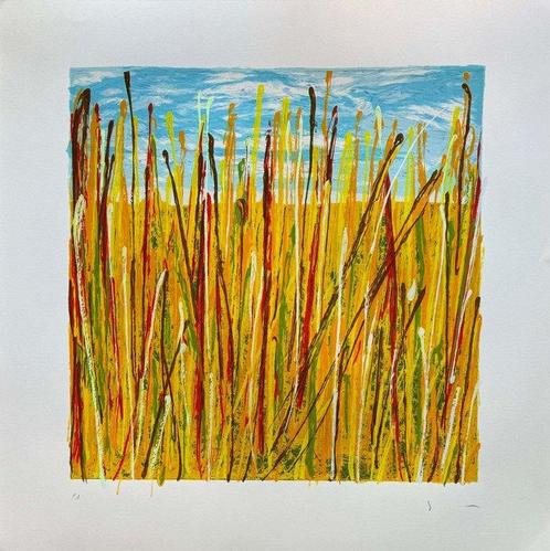 Mario Schifano (1934-1998) - Campo di grano, Antiek en Kunst, Antiek | Overige Antiek