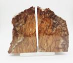 Versteend Hout Boekensteun (zie filmpje), Verzamelen, Mineralen en Fossielen