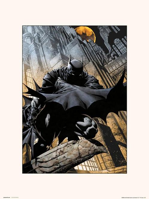 Kunstdruk DC Comics Batman Gargoyle 30x40cm, Huis en Inrichting, Woonaccessoires | Schilderijen, Tekeningen en Foto's, Nieuw, Verzenden